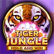 Điều khoản Dịch vụ 789be casino